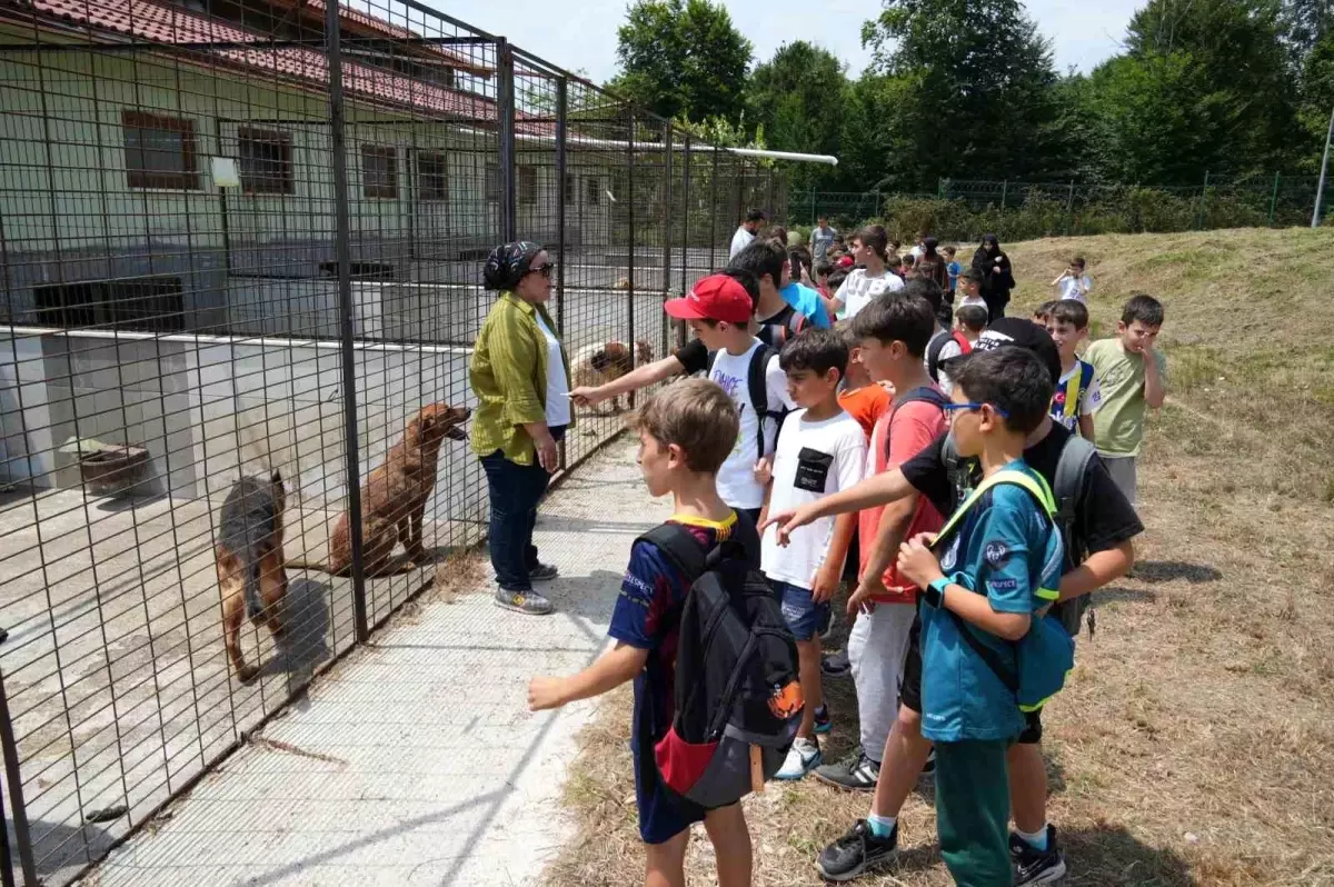 TÜGVA Yaz Okulu Öğrencileri Düzce Belediyesi Sokak Hayvanları Bakımevi\'ni Ziyaret Etti