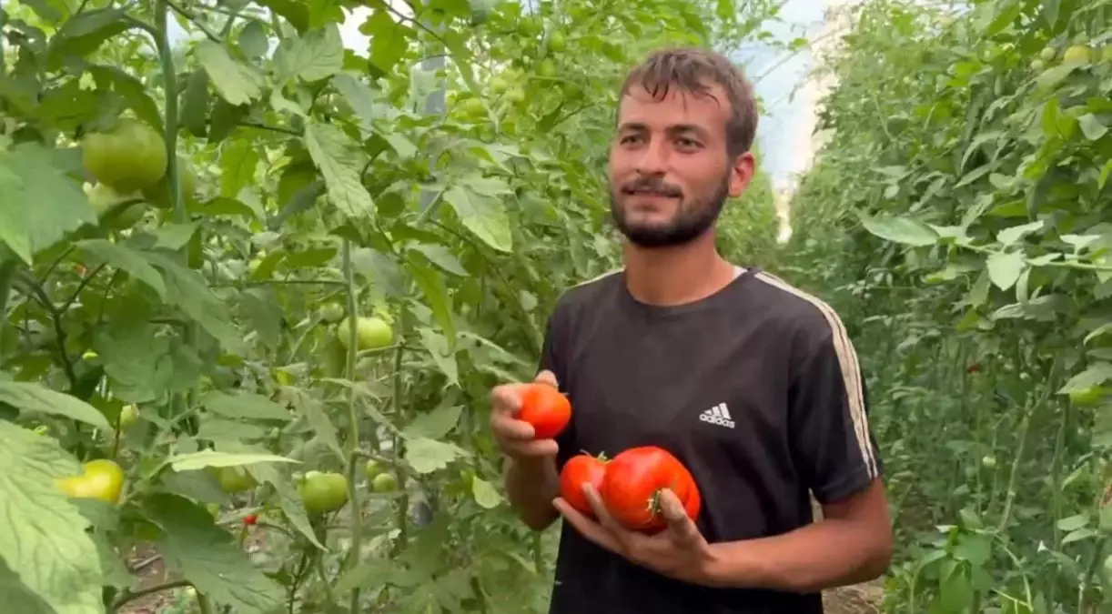 Şanlıurfa\'dan Antalya\'ya giden genç tarım işçisi, kendi memleketinde patron oldu