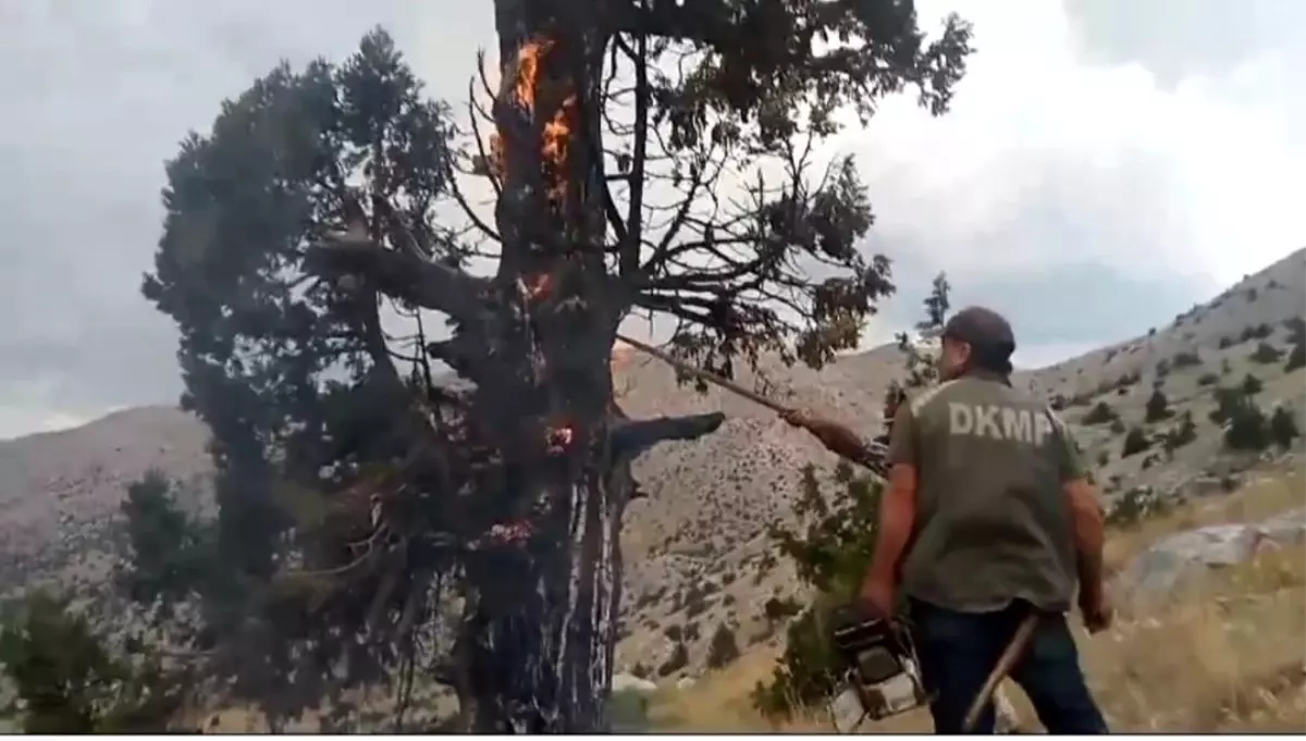 Kahramanmaraş\'ta Yıldırım İsabet Eden Ağaç Yangını Görevliler Tarafından Söndürüldü