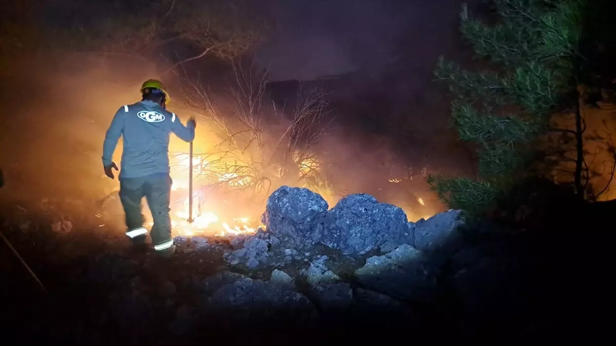 Mersin\'de çıkan örtü yangını kontrol altına alındı