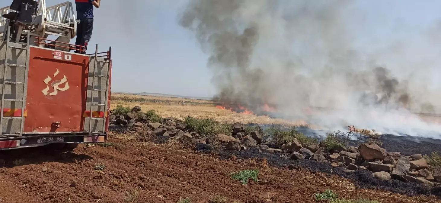 Şırnak\'ta çıkan anız yangını söndürüldü