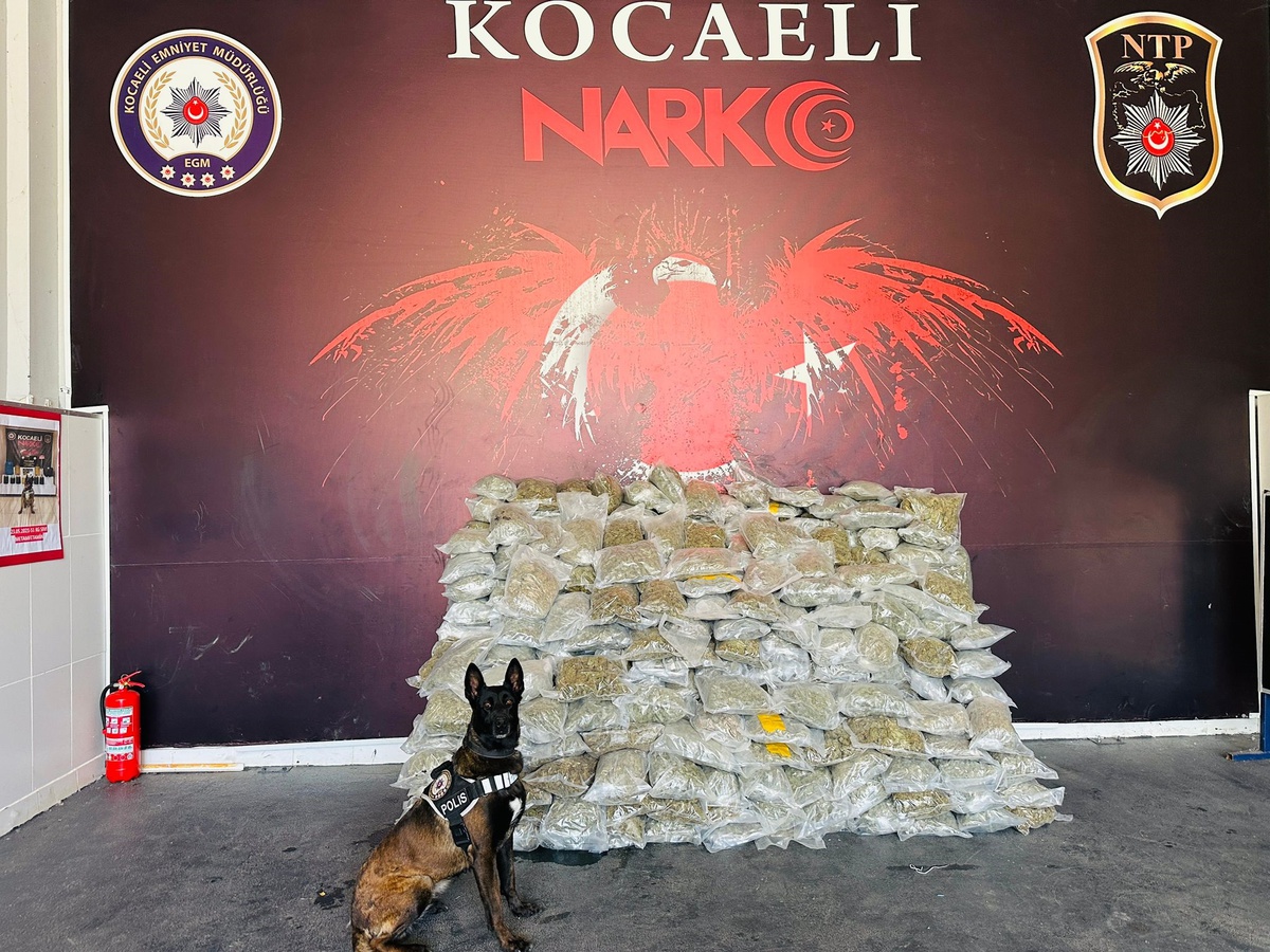 Kuzey Marmara Otoyolu\'nda TIR\'da 116 kilogram skunk ele geçirildi