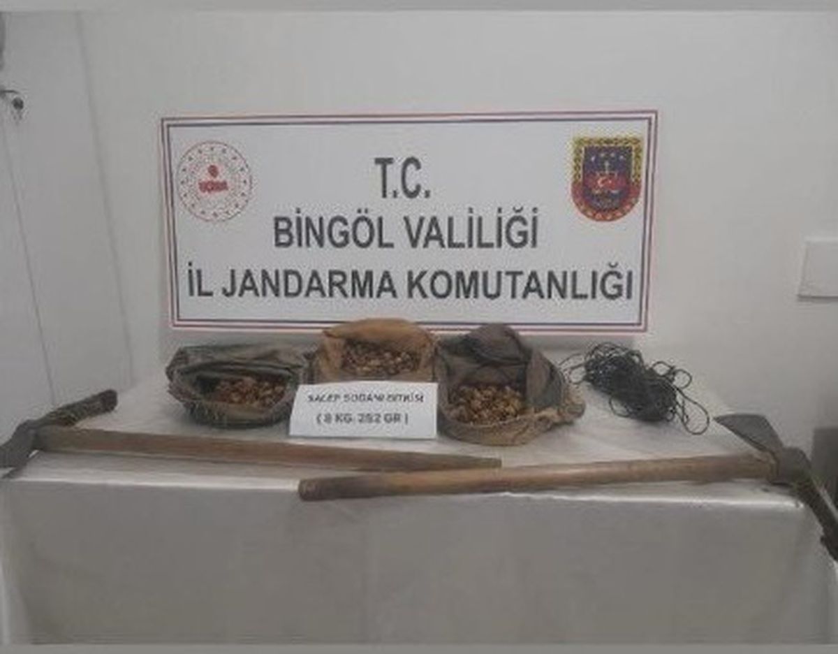 Bingöl\'de Yasa Dışı Salep Soğanı Toplayanlara 1 Milyon TL Cezası