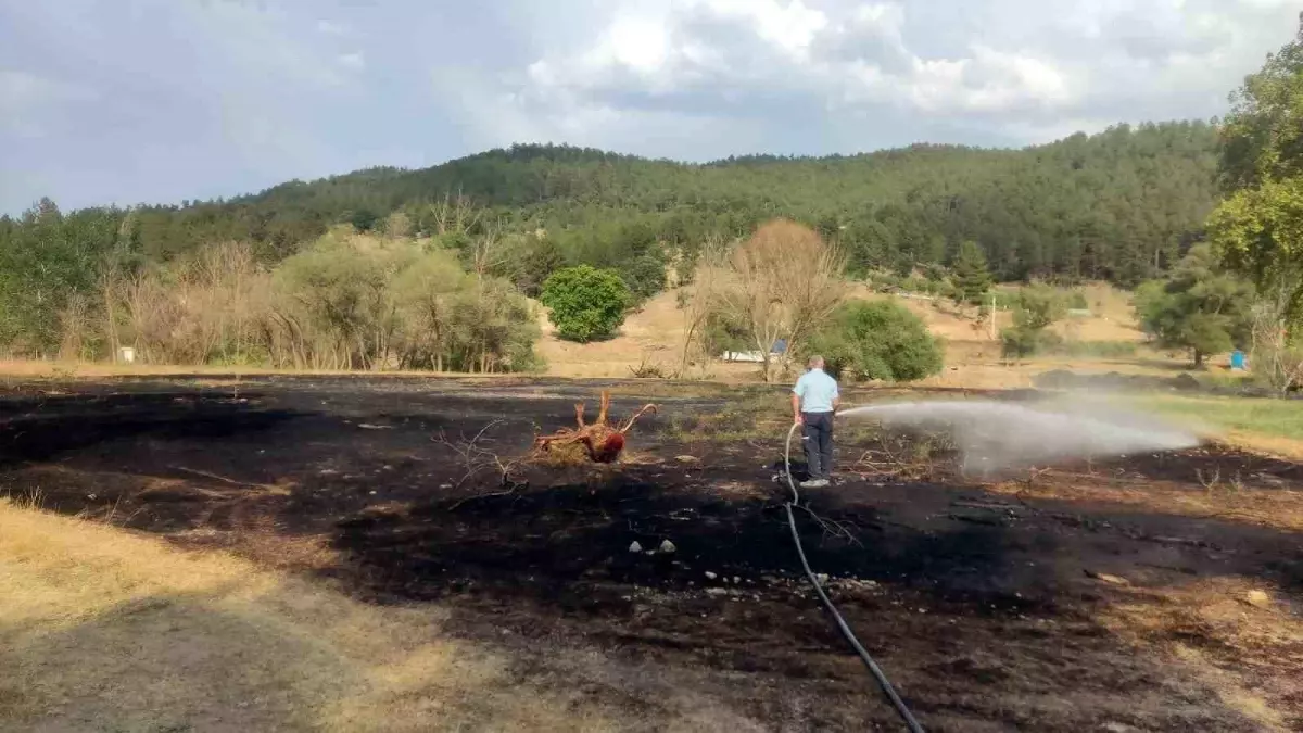 Kütahya\'da Mangal Ateşiyle Çıkan Yangında 2 Dönüm Ekili Alan Zarar Gördü