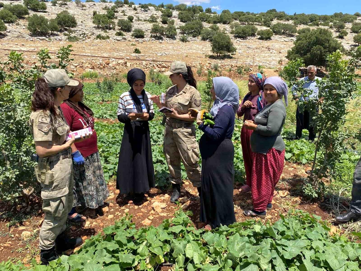 Gaziantep\'te Jandarma Ekipleri KADES Uygulamasını Tanıttı