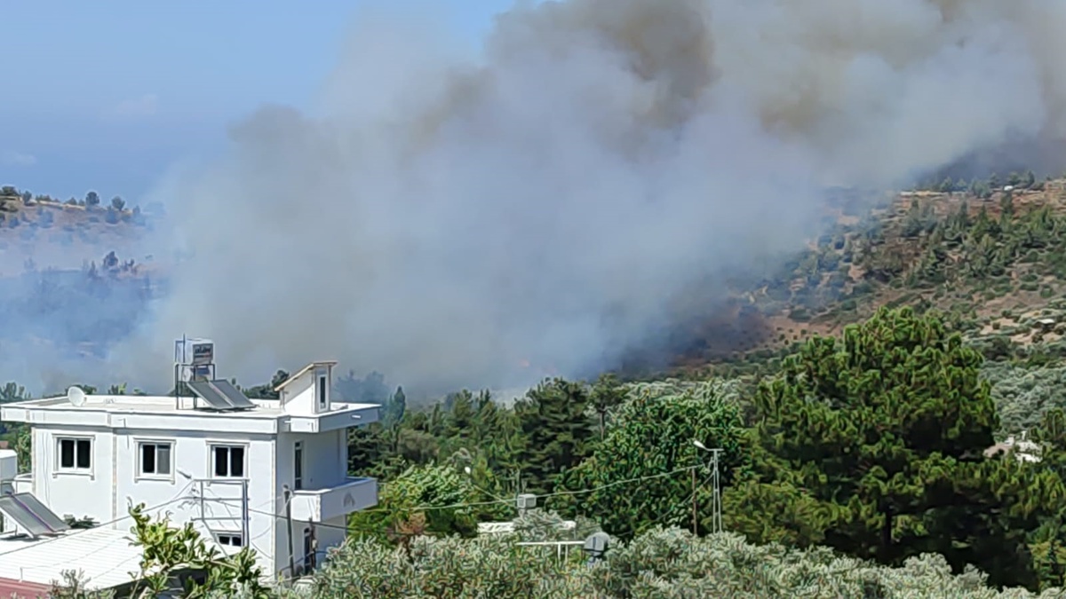 Hatay\'da Orman Yangını: Ekipler Alevlere Müdahale Ediyor
