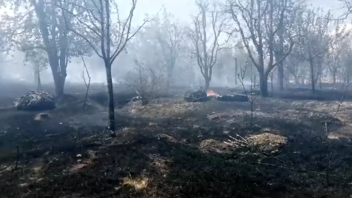 Isparta\'da meyve bahçesinde çıkan yangında ağaçlar ve samanlar kül oldu