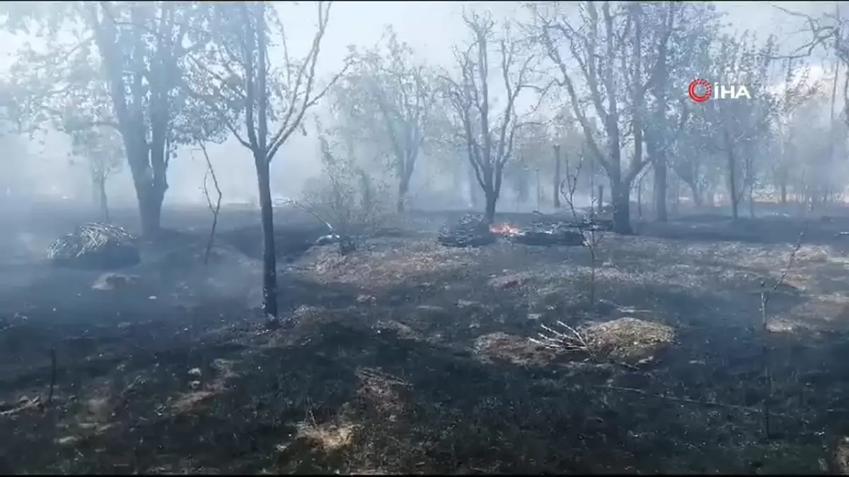 Isparta\'da meyve bahçesinde çıkan yangında ağaçlar ve samanlar kül oldu