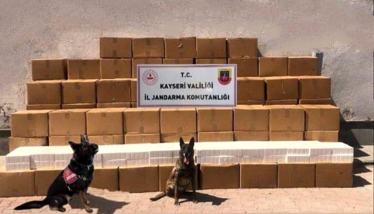 Kayseri\'de 61 Bin 500 Paket Kaçak Sigara Ele Geçirildi