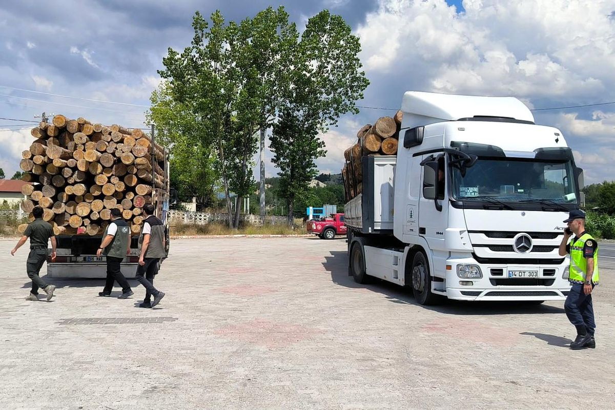 Bolu\'da Kaçak Orman Emvali Nakliyatı Denetlendi