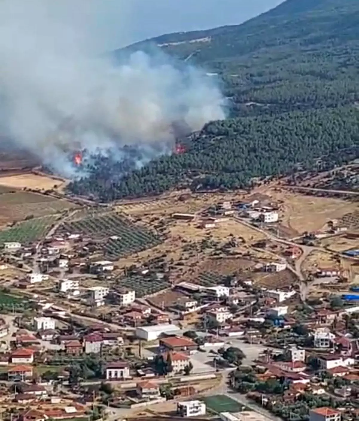 Manisa Gölmarmara\'da Orman Yangını