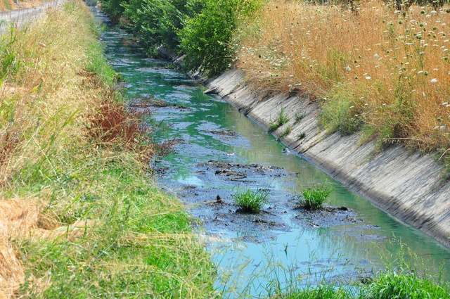 Manisa'da Sanayi Atıkları Sulama Kanalını Maviye Boyadı Manisa'da Sanayi Atıkları Sulama Kanalını Maviye Boyadı