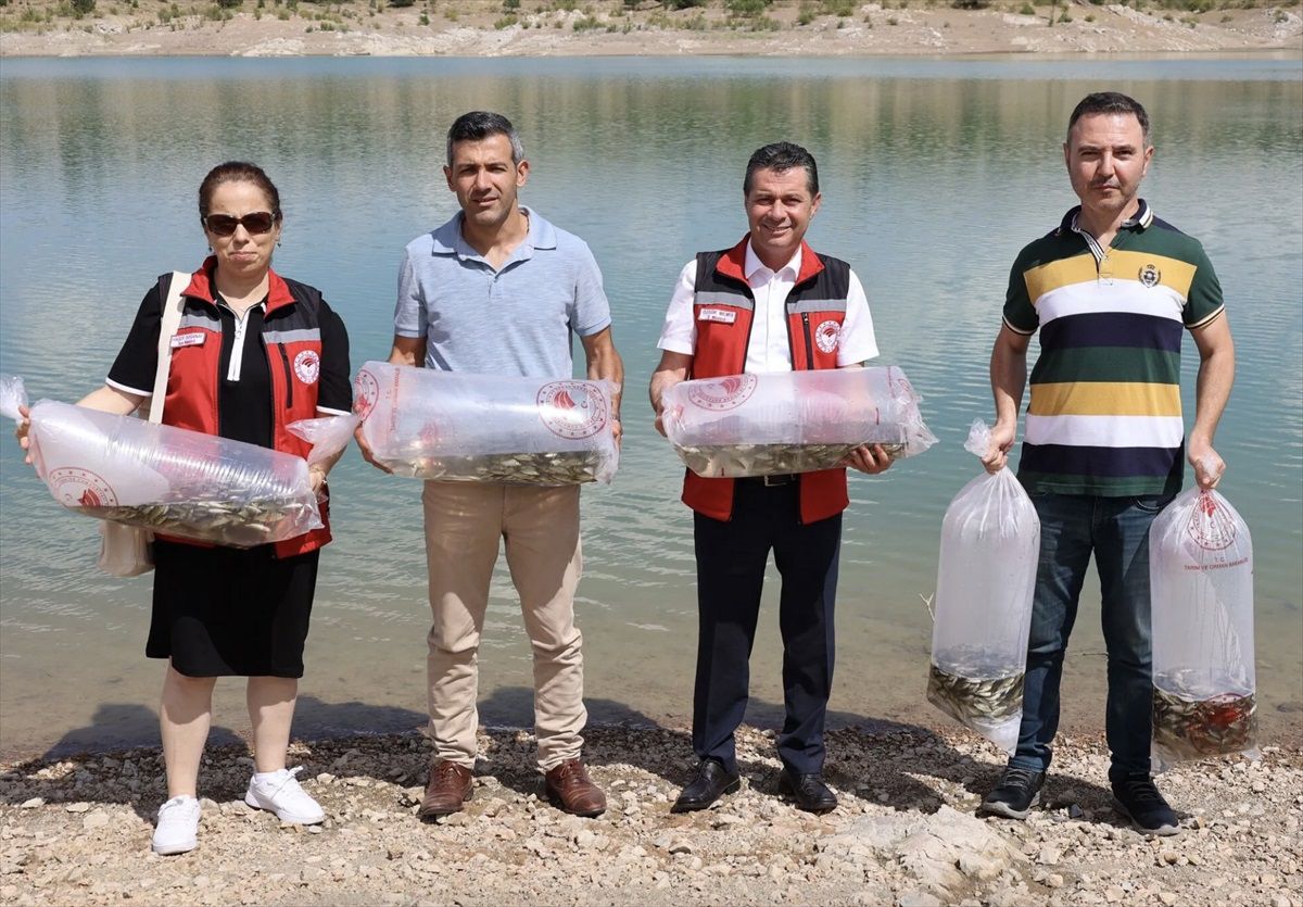 Nevşehir\'deki baraj göletlerine 720 bin sazan yavrusu salındı