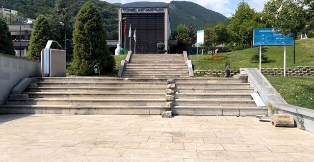 Bursa'da Navigasyon Hatası: Araç Merdivenden Aşağı Uçtu Bursa'da Navigasyon Hatası: Araç Merdivenden Aşağı Uçtu