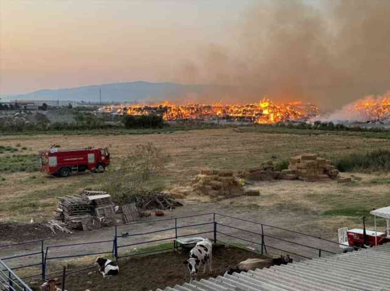 Aydın'da kağıt fabrikasında çıkan yangın 1 gündür söndürülemedi