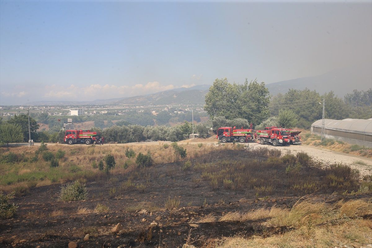 Hatay\'ın Arsuz ilçesinde çıkan orman yangını kontrol altına alındı