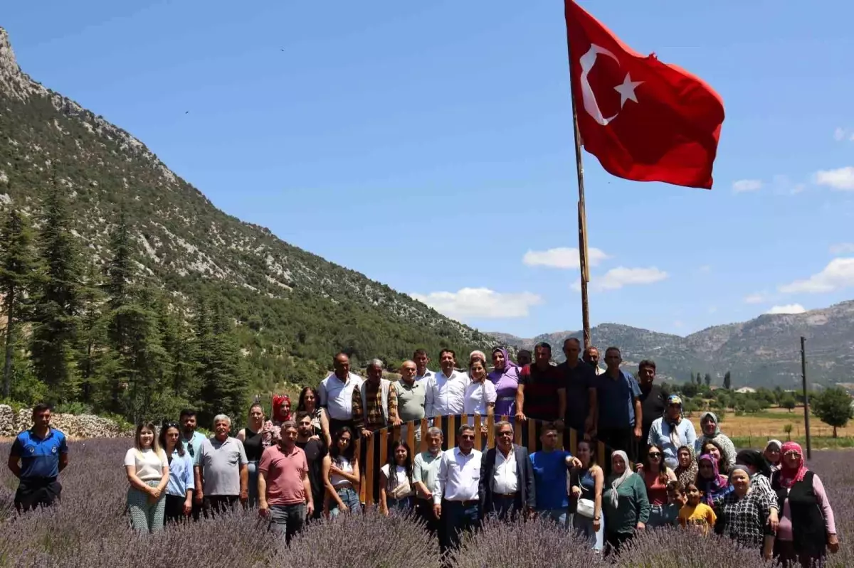 Feke Tapan Lavanta Festivali Bu Yıl Düzenlenmeyecek