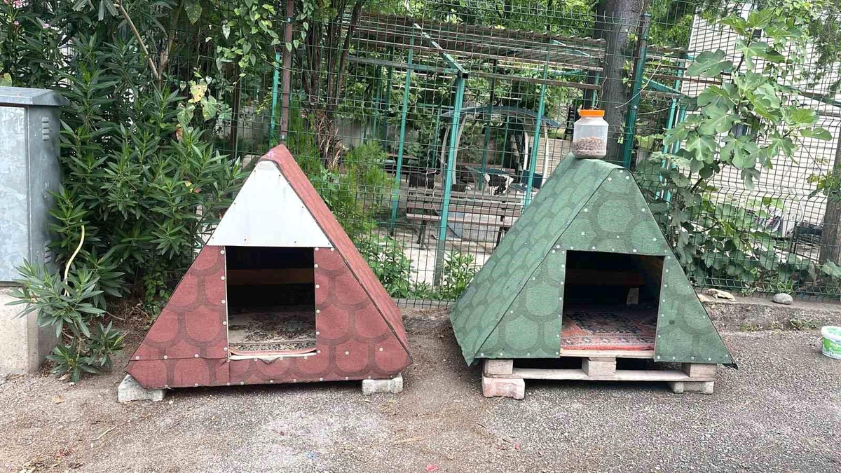 Bursa\'da Yeni Doğan Kedi Polis Merkezi\'nin Maskotu Oldu
