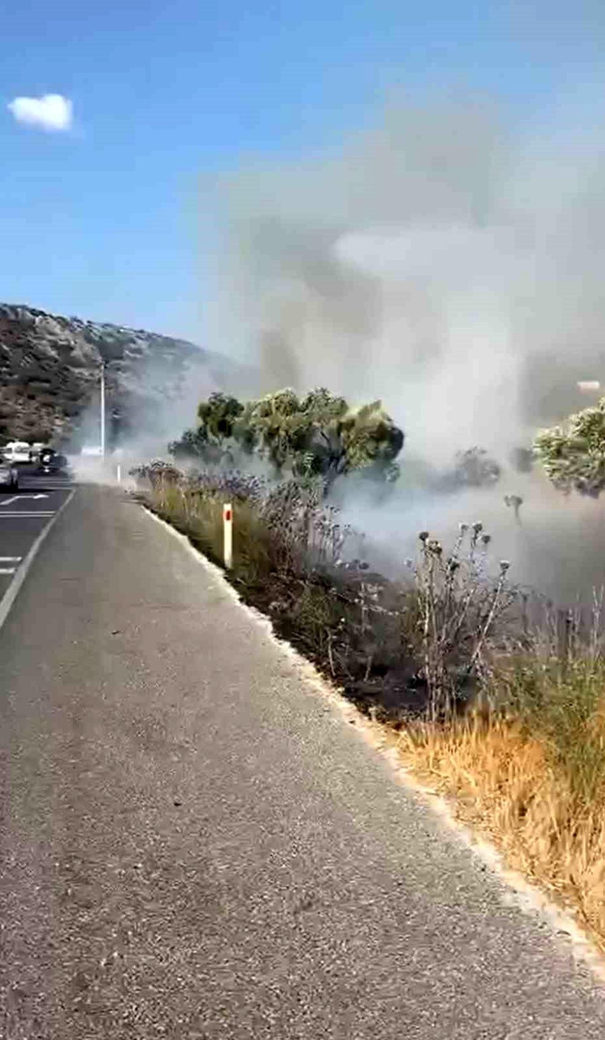 Milas-Bodrum karayolunda zeytinlik alanda yangın çıktı