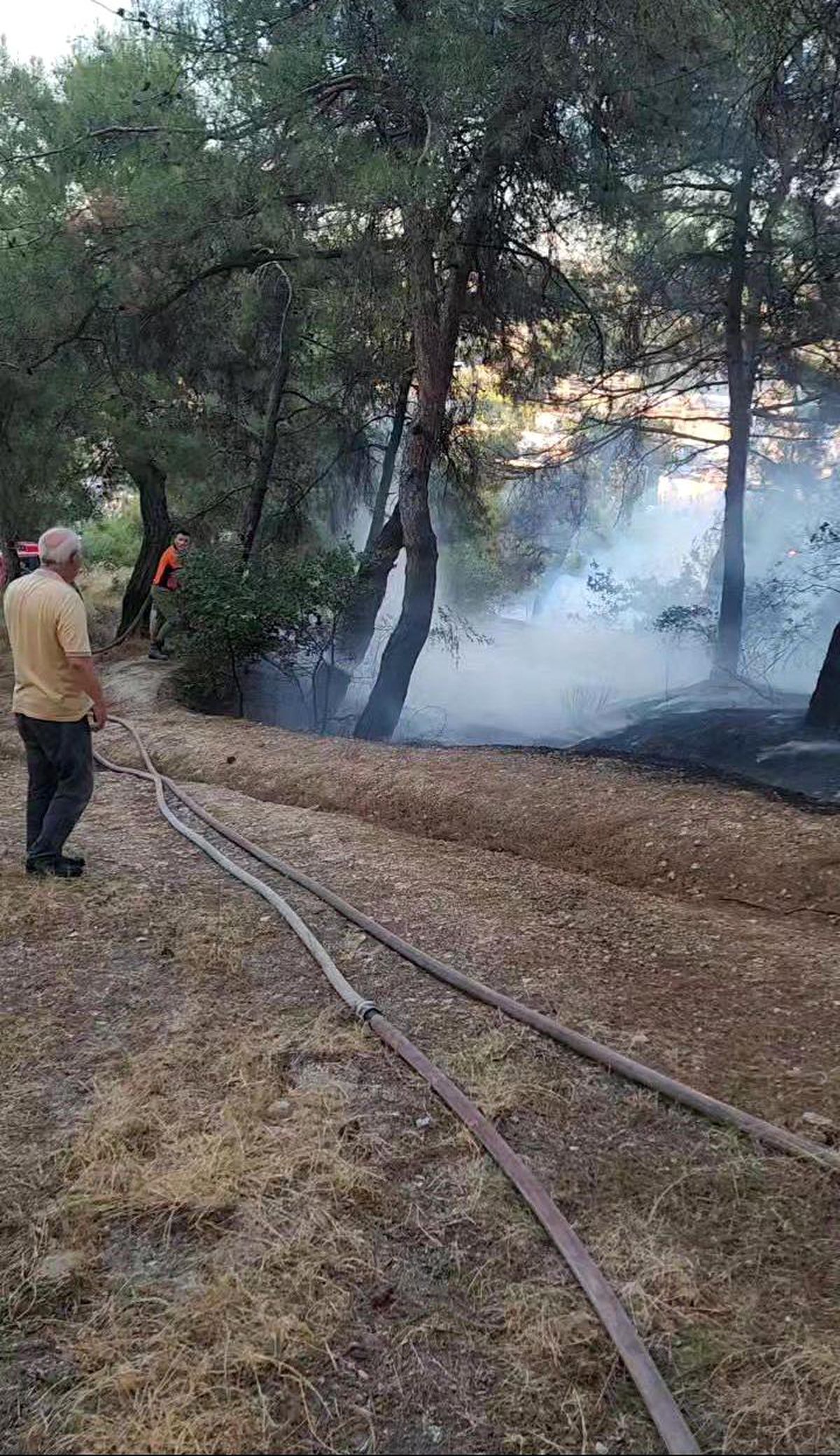 Bursa\'da ağaçlık alanda çıkan yangın ormana sıçramadan söndürüldü