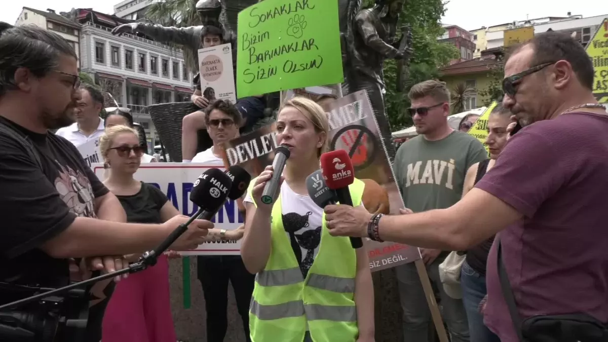 Rize\'de Hayvan Hakları Savunucuları AKP\'nin Sokak Hayvanlarıyla İlgili Yasa Teklifini Protesto Etti