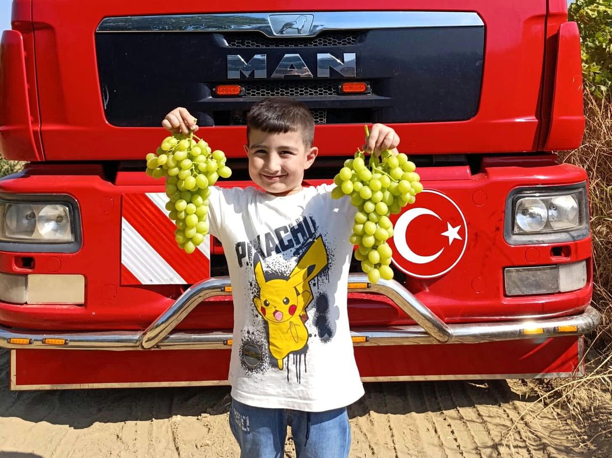 Manisa Sarıgöl\'de Erkenci Üzüm Hasadı Başladı
