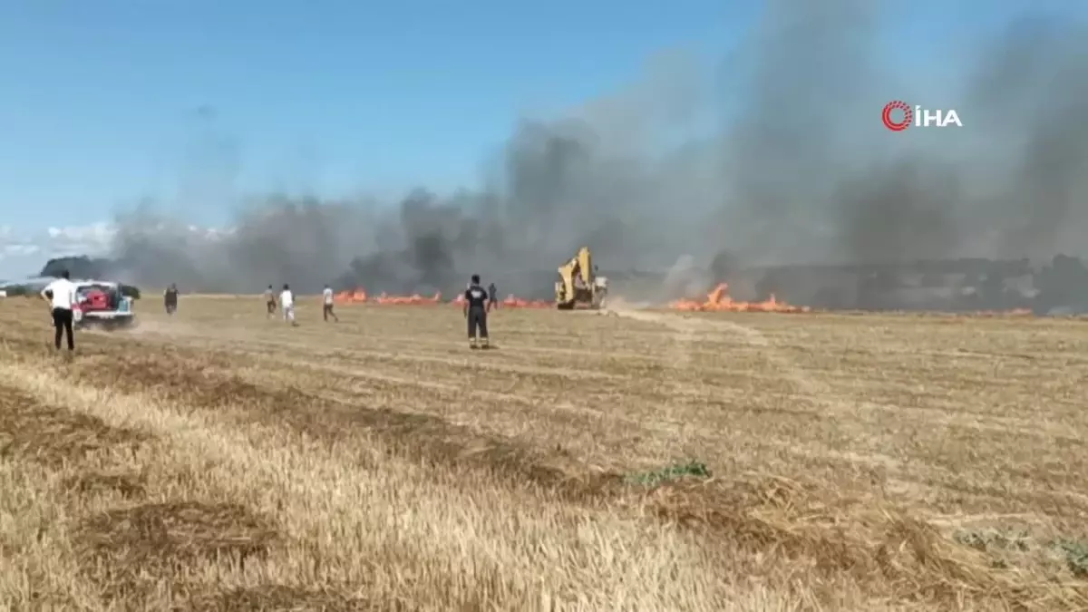 Tekirdağ\'da anız yangını