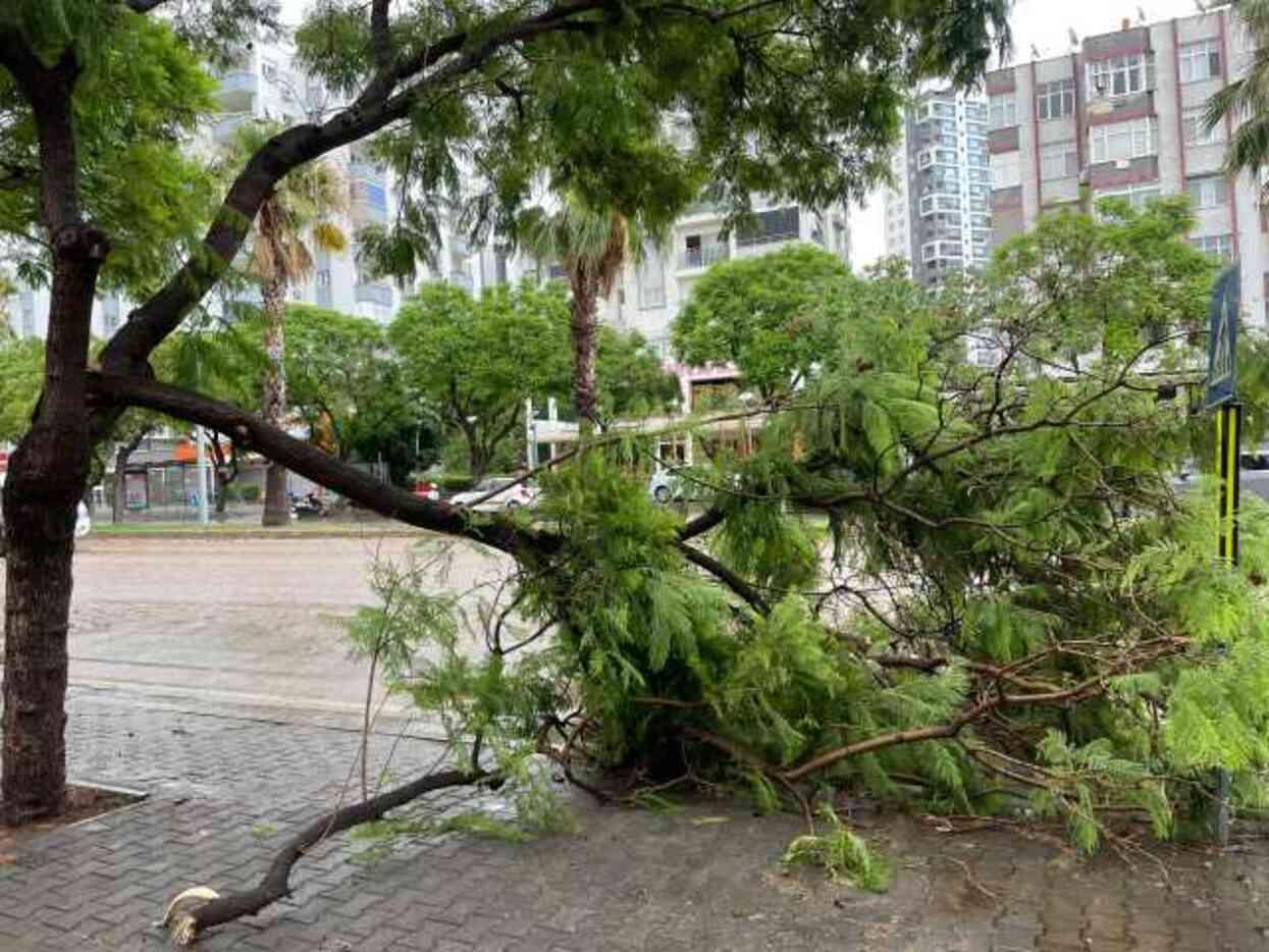 Vinç böyle devrildi! Adana'da şiddetli yağmur ve rüzgar hayatı felç etti!
