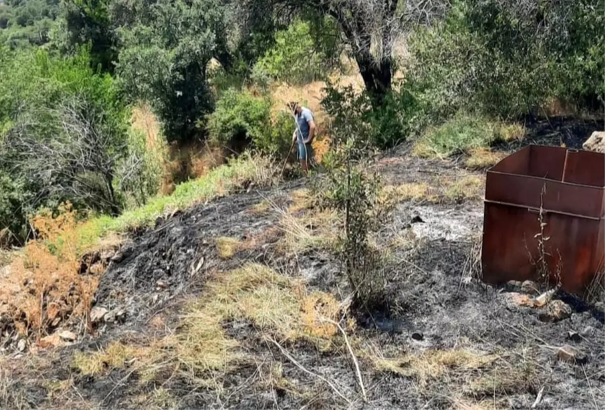 Tunceli\'de çıkan ot yangını vatandaşlar tarafından söndürüldü