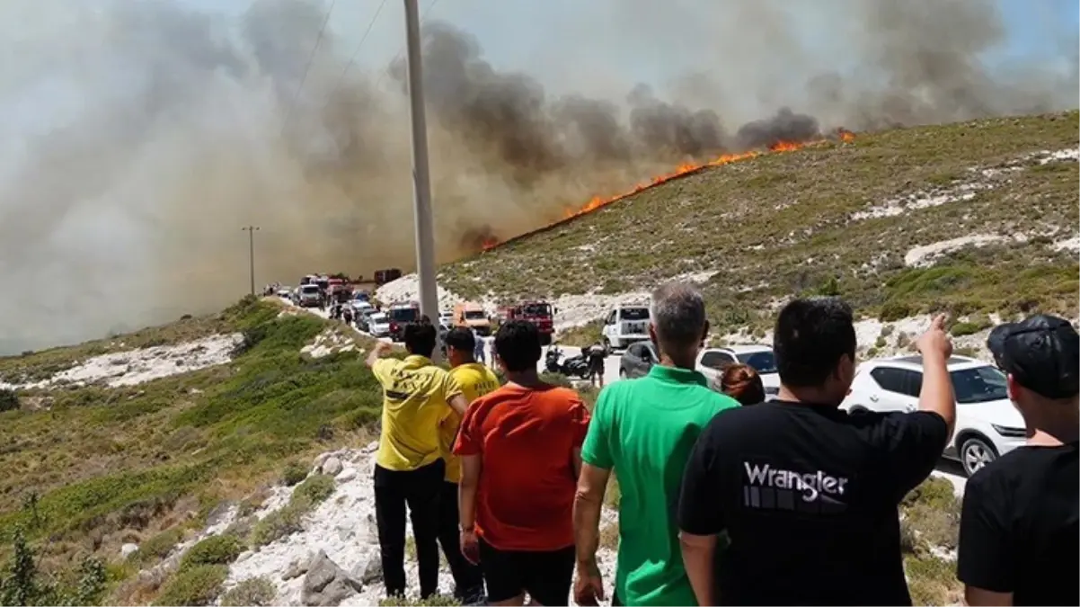 Çeşme\'de 3 kişinin hayatını kaybettiği orman yangınının nedeni belli oldu