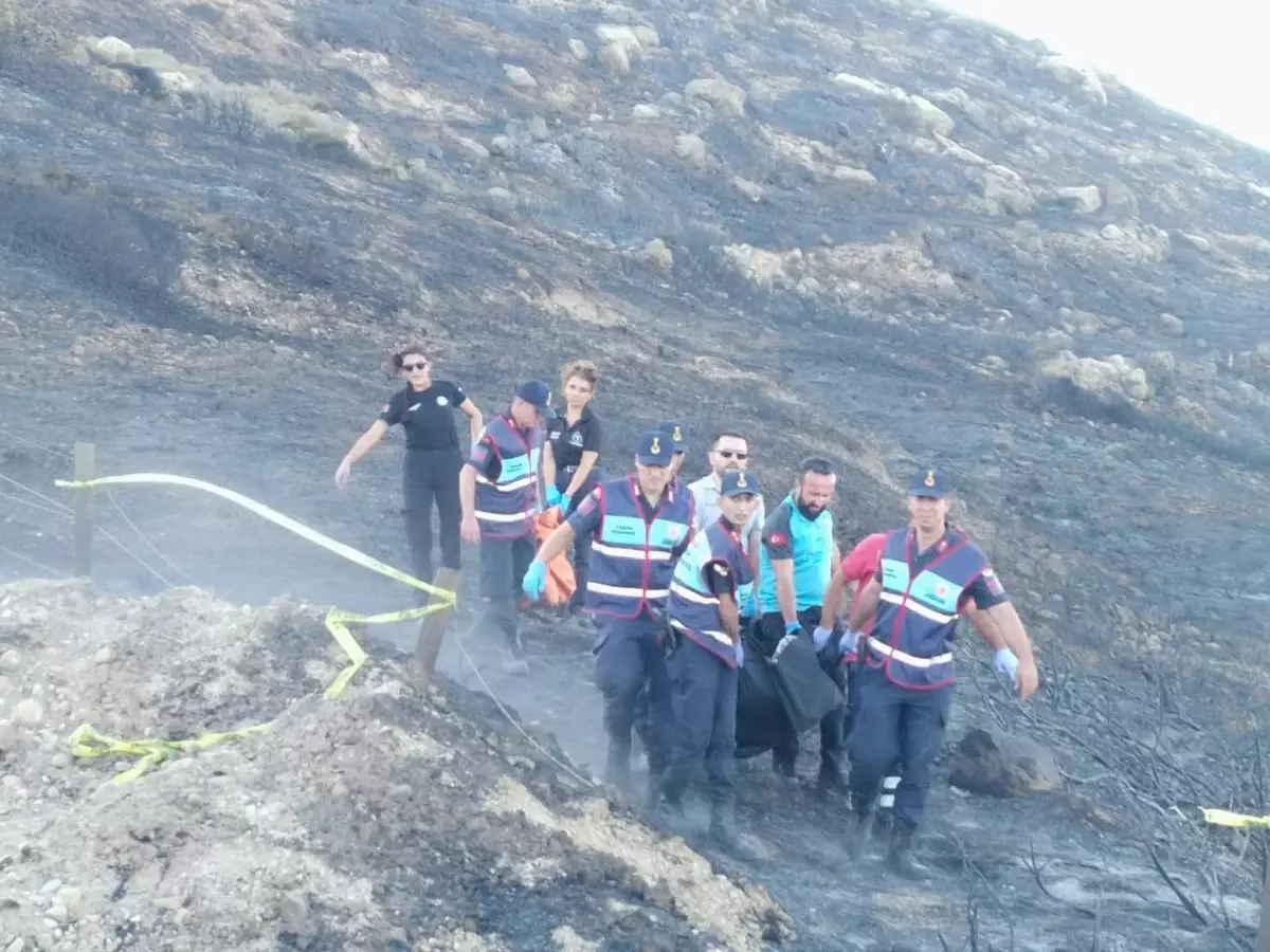 Çeşme\'deki Orman Yangınında Hayatını Kaybedenlerin Cenazeleri Morga Kaldırıldı