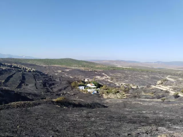 Görüntüler Çeşme'deki yangından! Ölmeden önce çektiği son videoda kaçmaya çalıştıklarını anlatmış