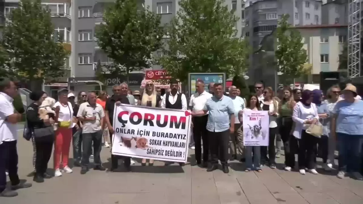 Hayvanların Sesi 19 Derneği, sokak hayvanlarıyla ilgili kanun teklifini protesto etti