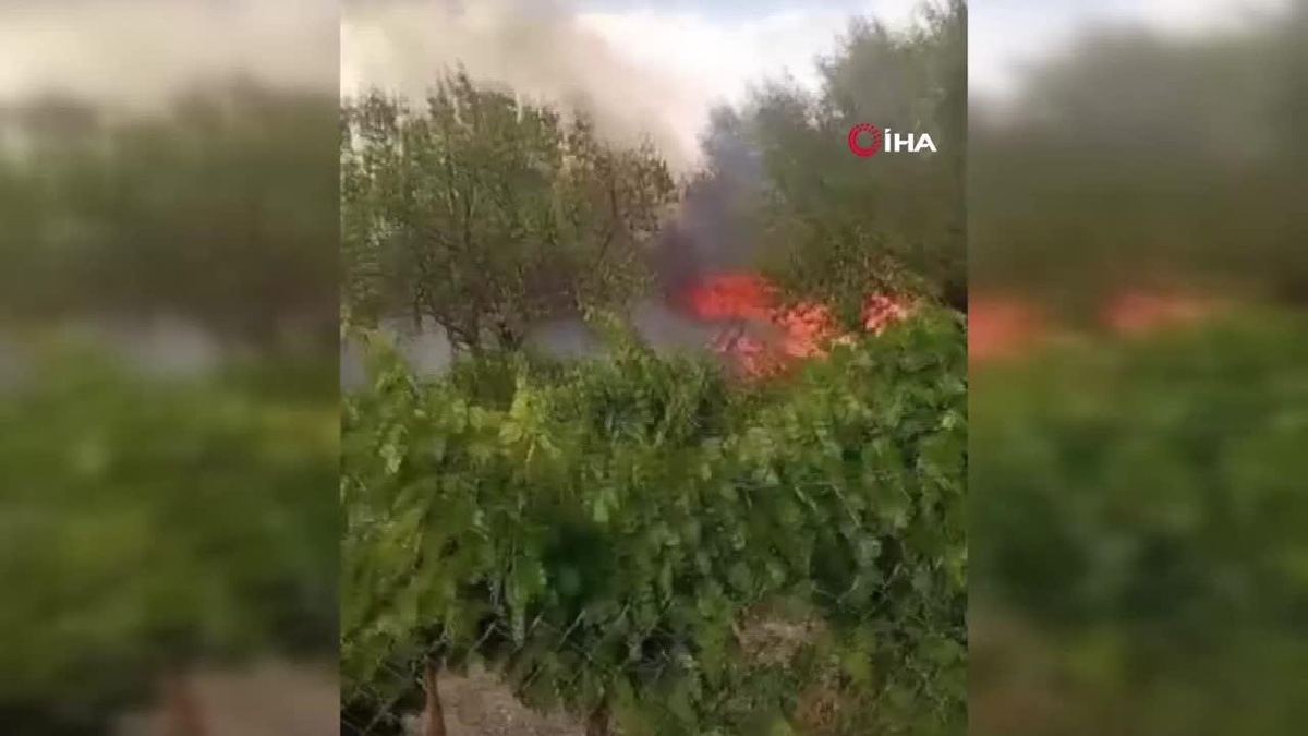 Elazığ\'da bahçe yangını kontrol altına alındı