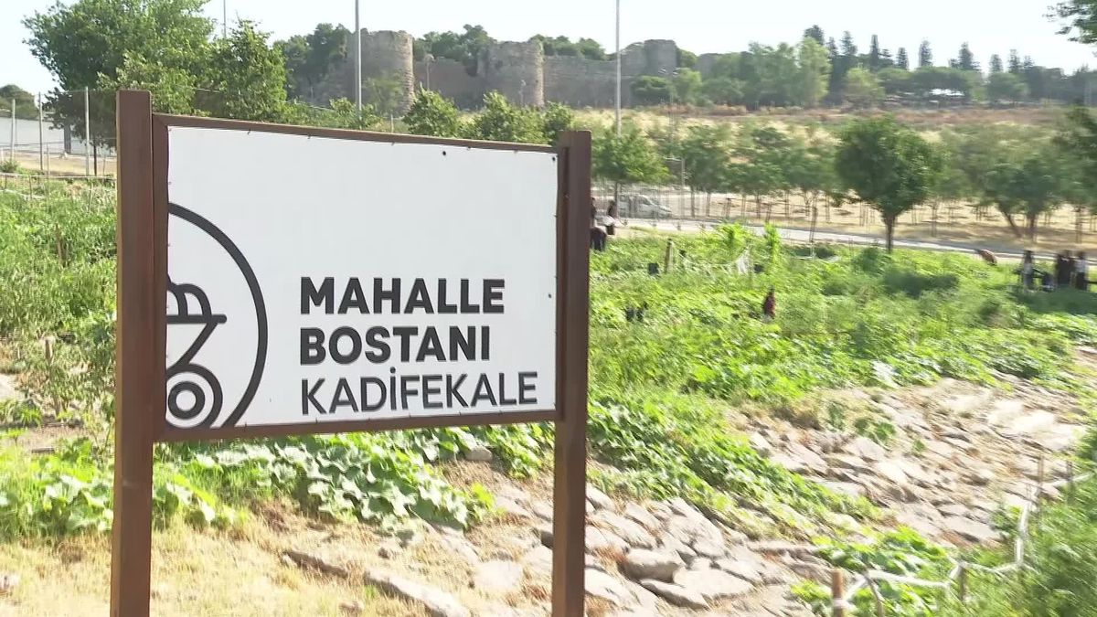 İzmir Büyükşehir Belediyesi Kadınlar İçin Mahalle Bostanı Kurdu