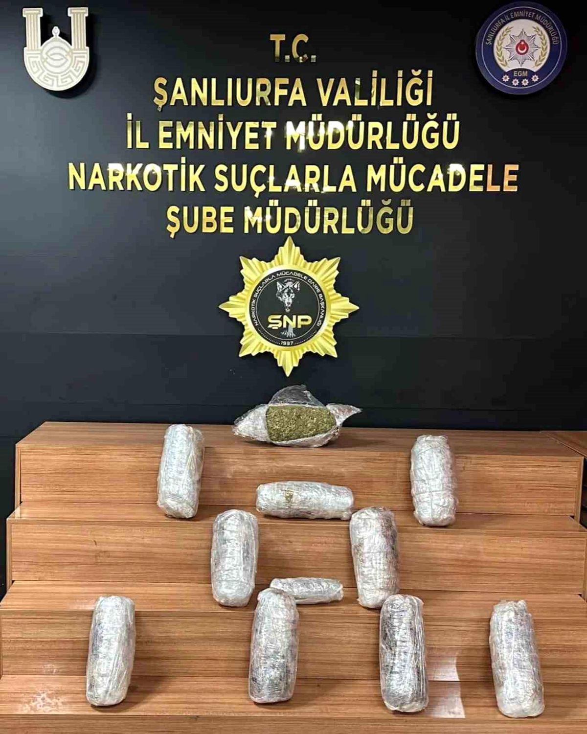 Şanlıurfa\'da 18 kilogram skunk ele geçirildi