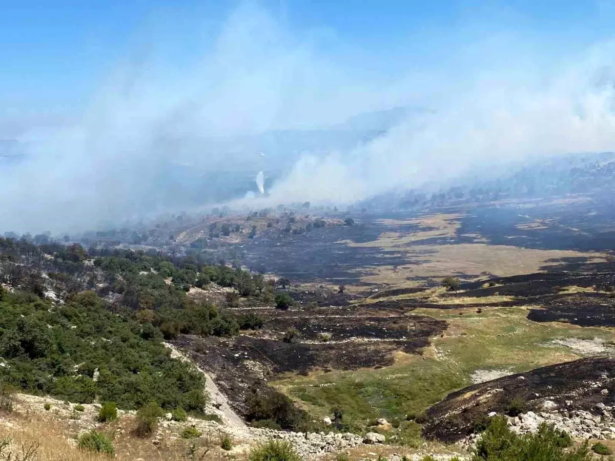 Manisa Soma\'da Orman Yangını: Mahalle Tahliye Edildi