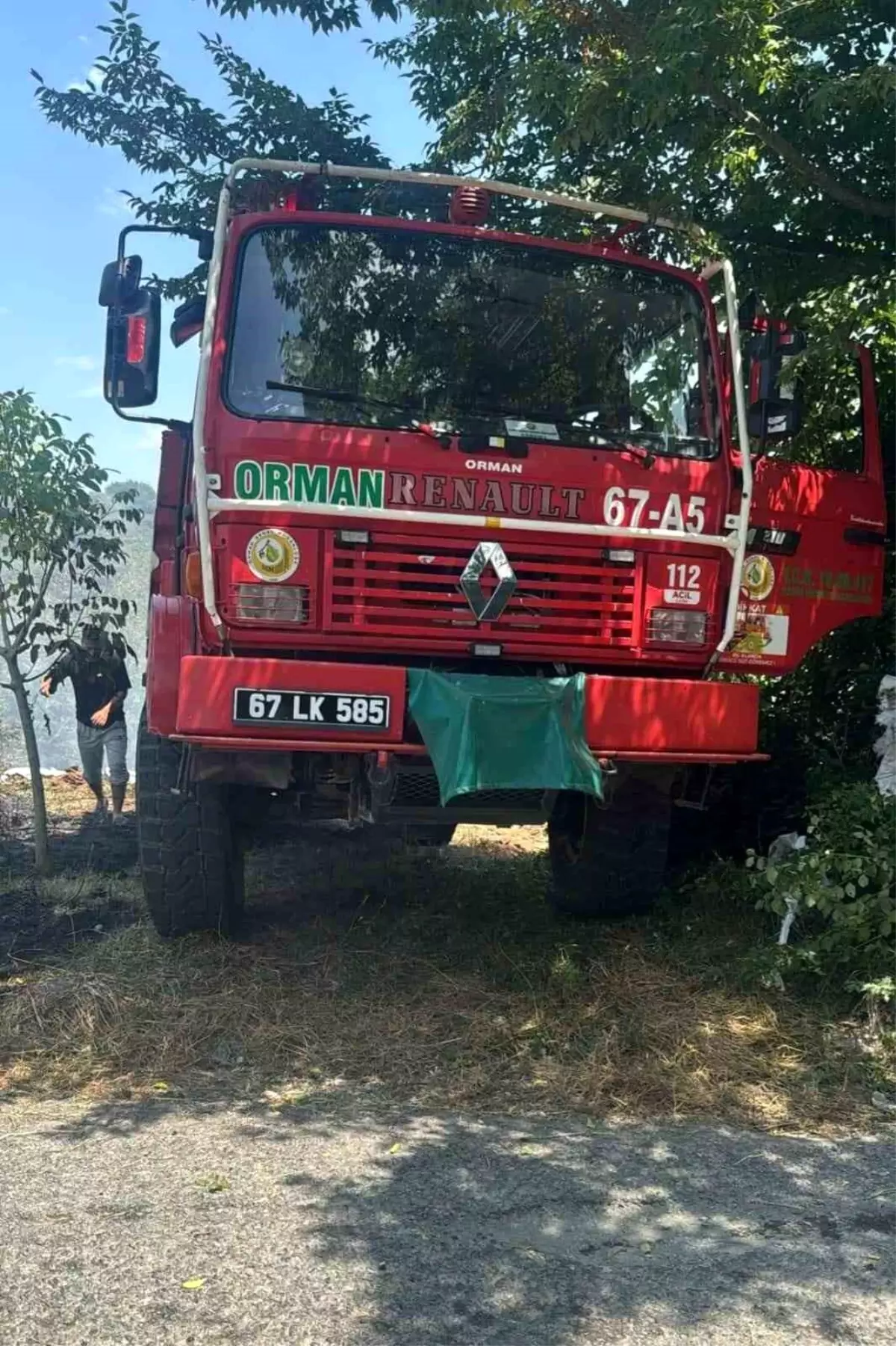 Zonguldak Alaplı\'da Fındık Bahçesinde Yangın Çıktı