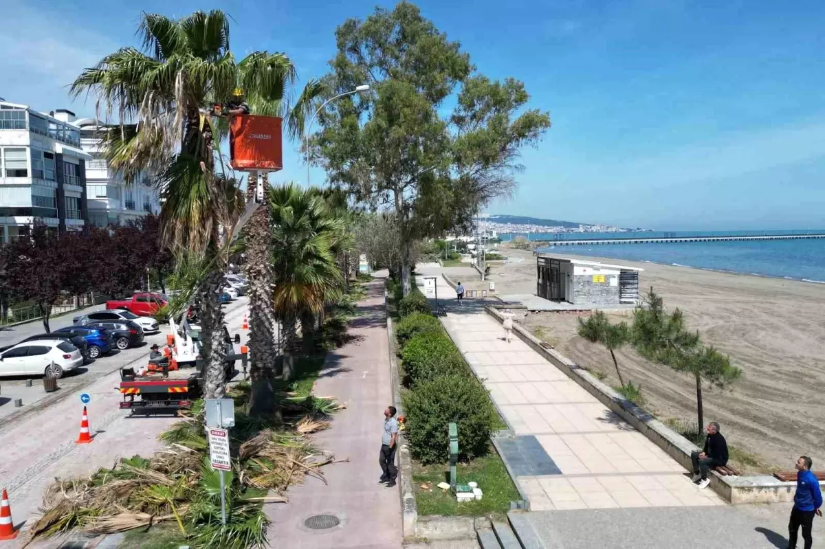 Samsun Büyükşehir Belediyesi Atakum Sahilinde Estetik ve Kullanım Kalitesini Artırıyor