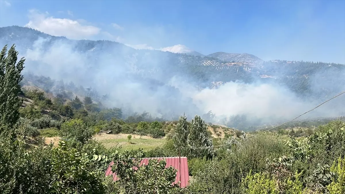 Hatay\'ın Belen ilçesinde ormanlık alanda çıkan yangın kontrol altına alındı