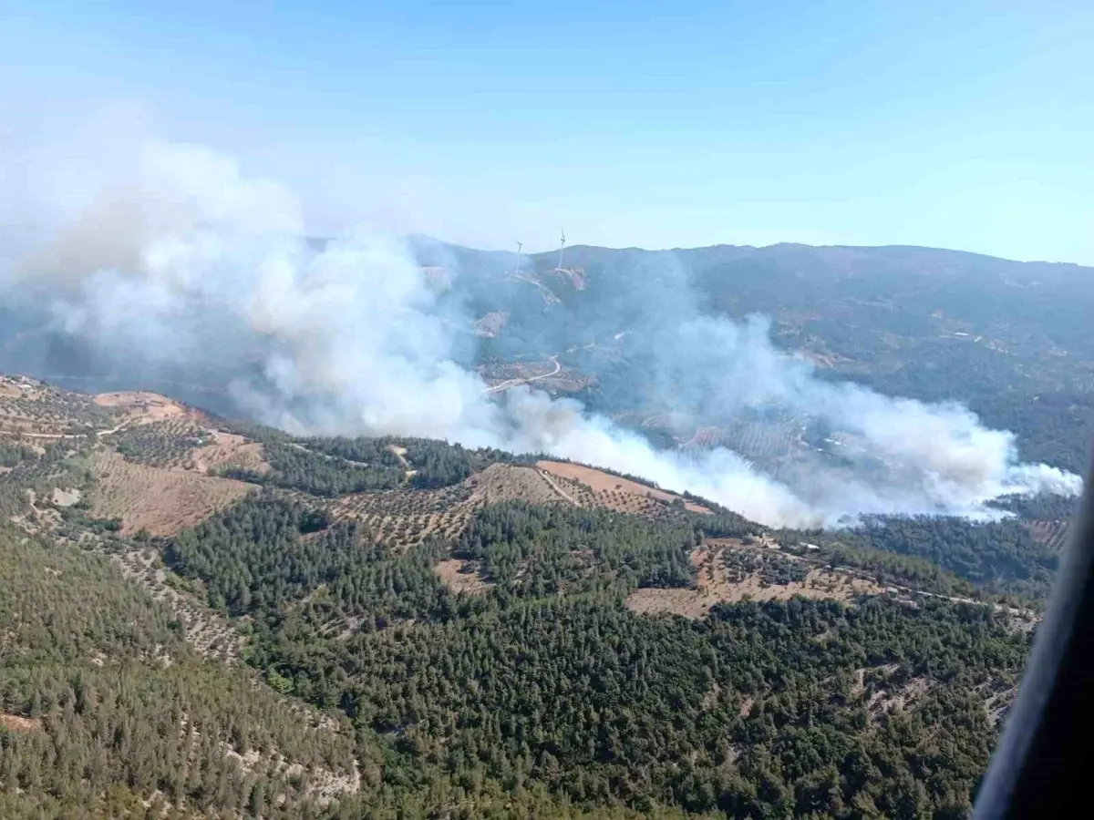 Hatay\'ın Belen ilçesinde orman yangını çıktı