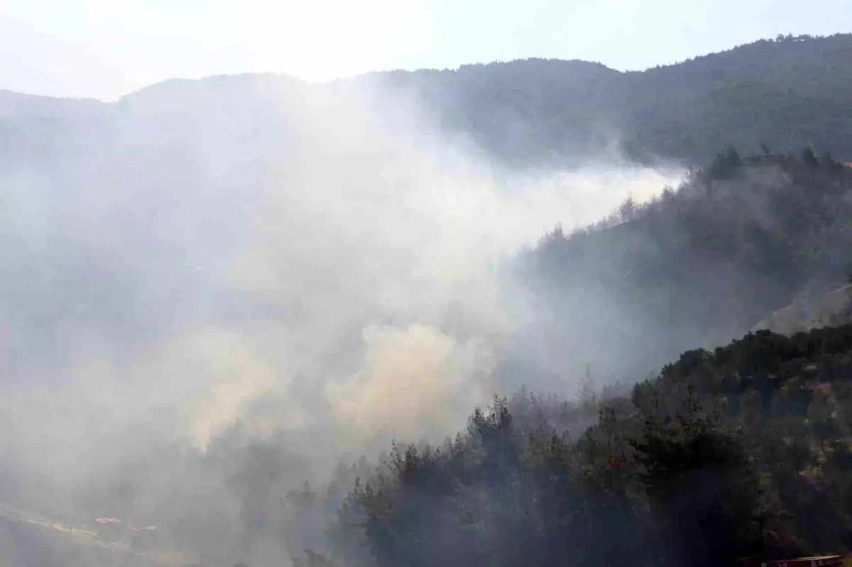 Hatay\'da çıkan orman yangını kontrol altına alındı