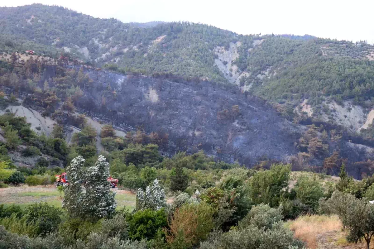 Hatay\'ın Belen ilçesinde çıkan orman yangını kontrol altına alındı