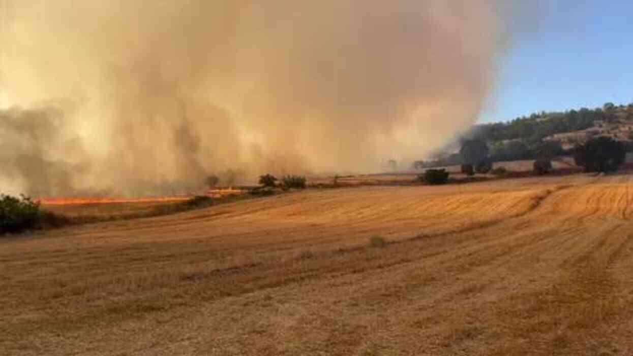 İzmir, Balıkesir ve Adıyaman'da yangın alarmı! İtfaiye ekipleri teyakkuza geçti