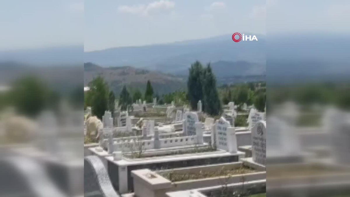 Mezarlıklar küçükbaş hayvanların otlaklığı oldu