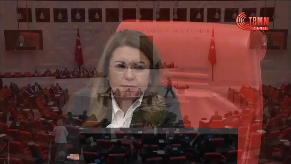 TBMM Genel Kurulu, Başkanvekili Gülizar Biçer Karaca\'nın rahatsızlanması nedeniyle yarına ertelendi