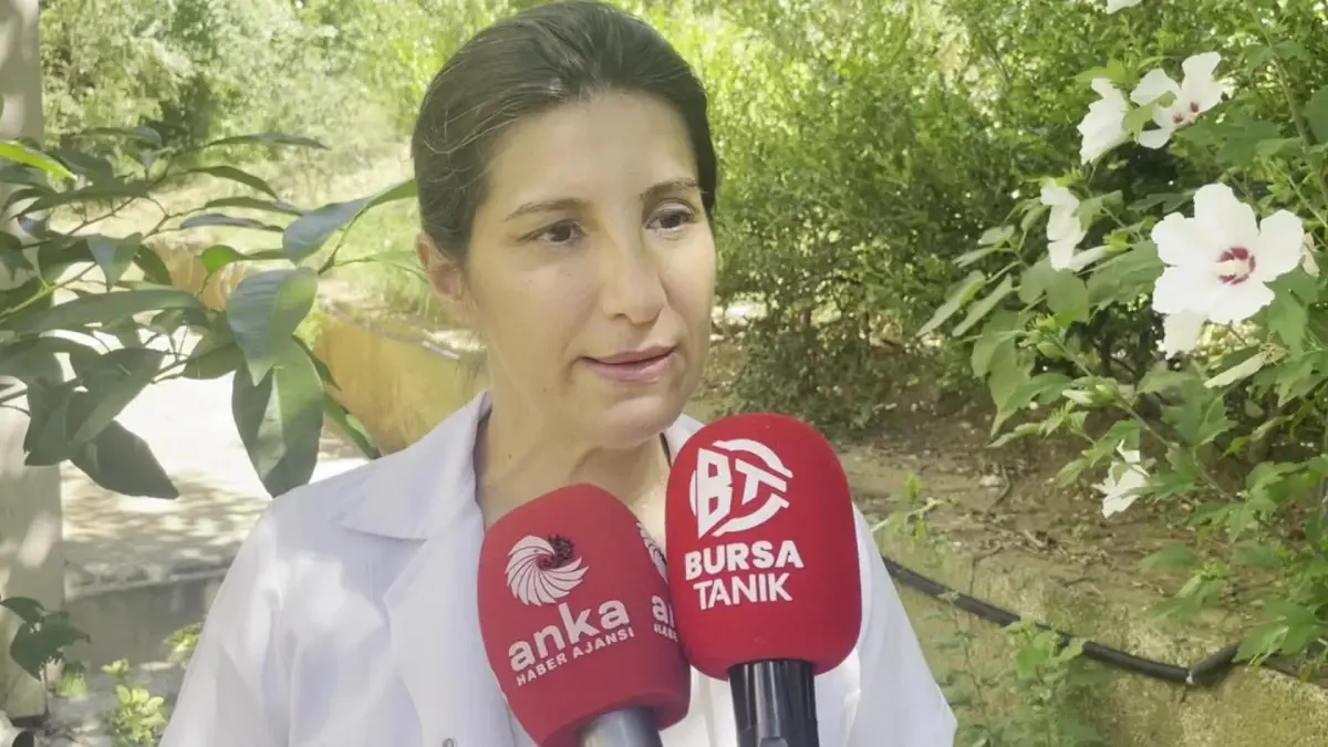 Türk Veteriner Hekimleri Birliği Merkez Konseyi Üyesi Melike Baysal: "Ötanaziyi Hiçbir Koşulda Kabul Etmeyeceğiz.