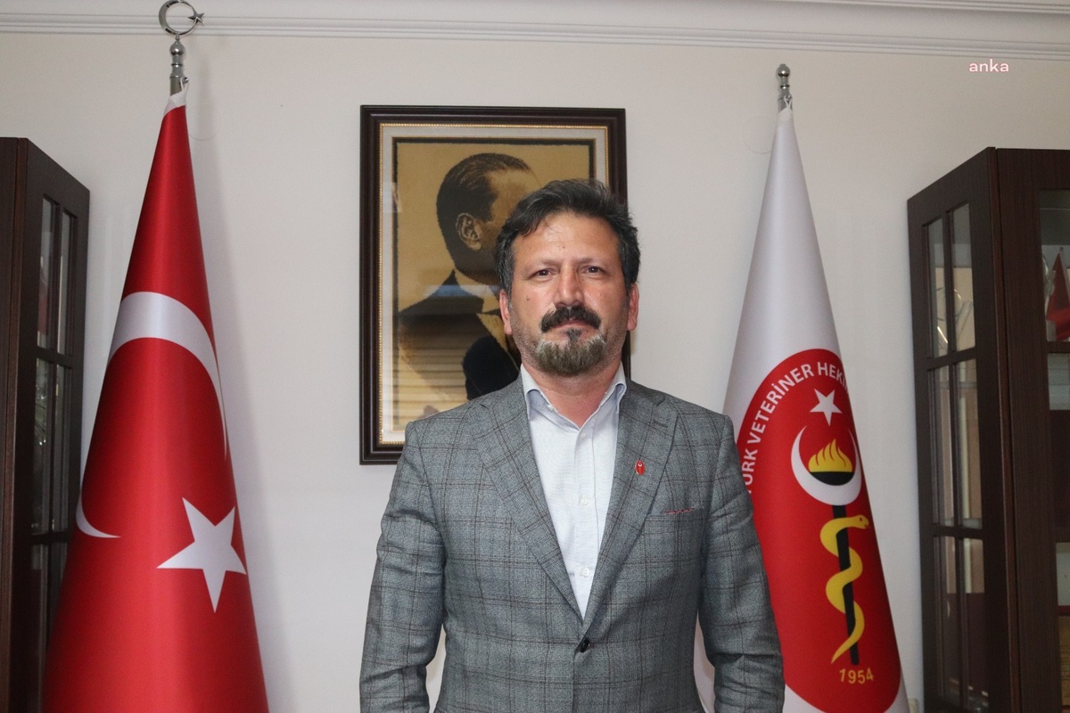 Veteriner Hekimlerinden Sahipsiz Hayvan Kanun Teklifi Eleştirisi