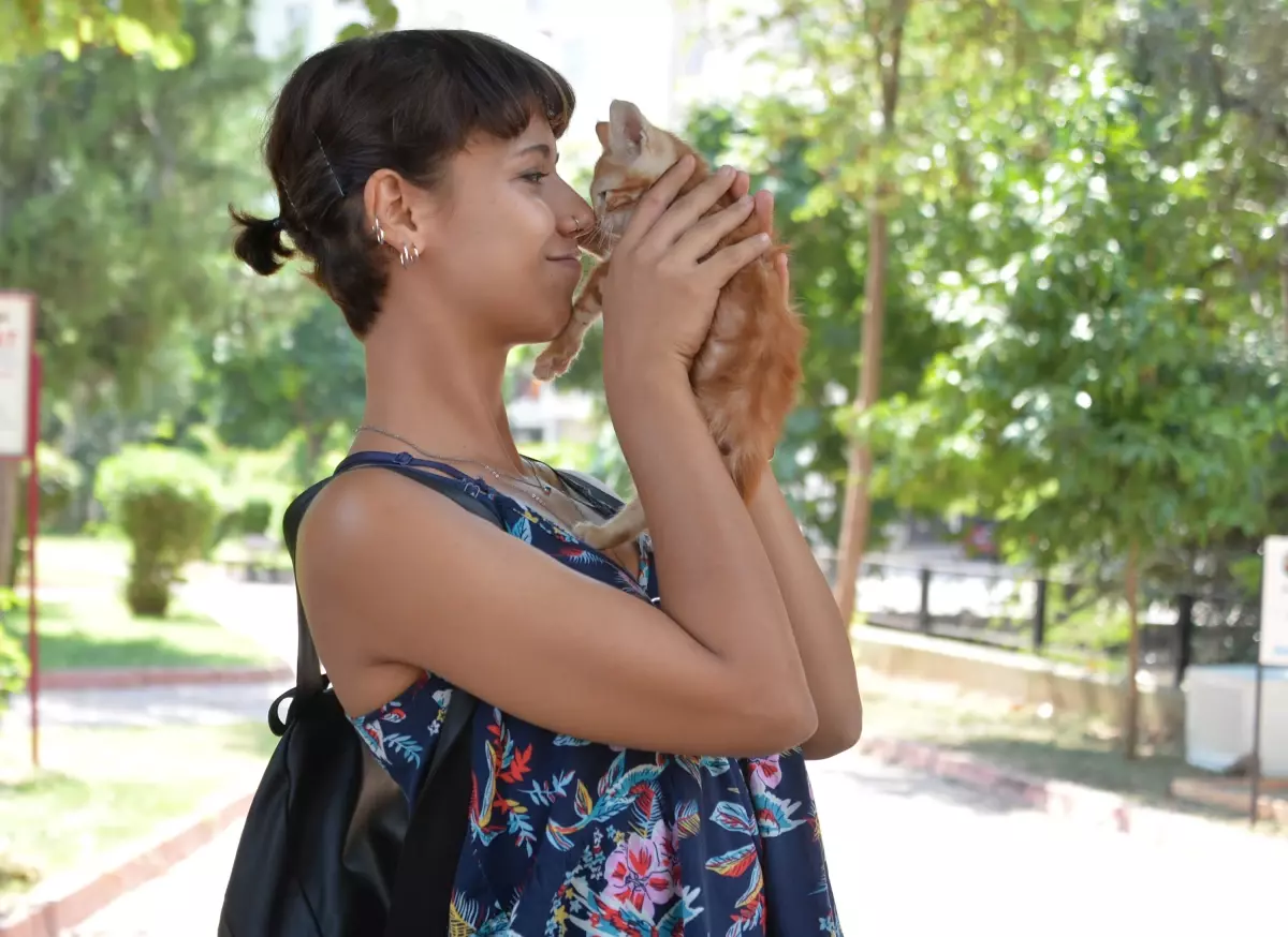 Adana Veteriner Hekimler Odası Başkanı: Sahipsiz hayvanların kontrolsüz şekilde uyutulması kentlerimizde fare sayısını artırabilir