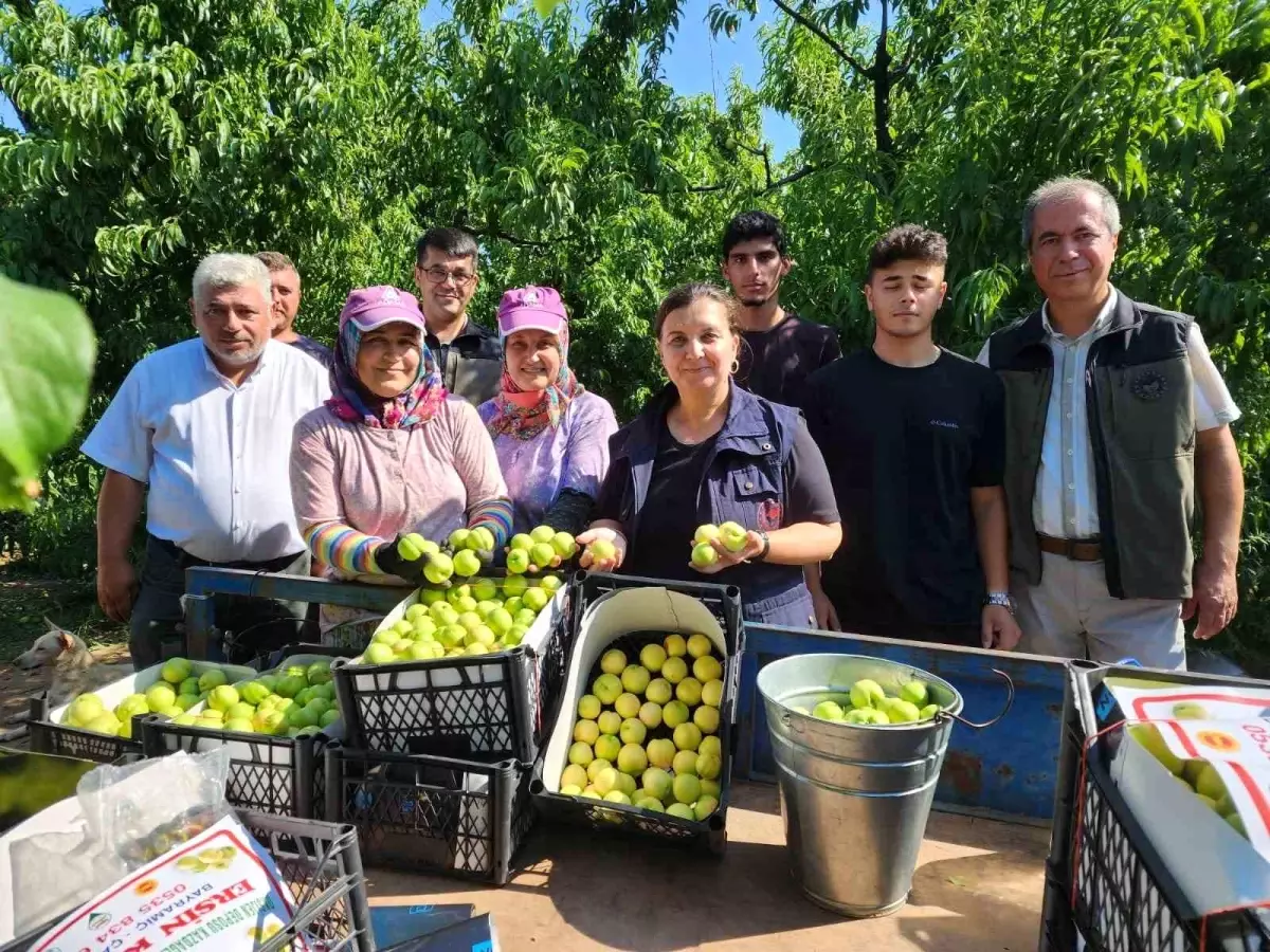 Çanakkale\'nin Bayramiç ilçesinde AB Coğrafi İşaret tescilli nektarin üretimi bekleniyor